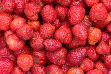 ribambelle de fraises 