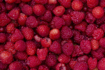 ribambelle de framboise