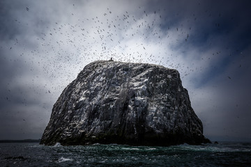 The Bass Rock, Scotland