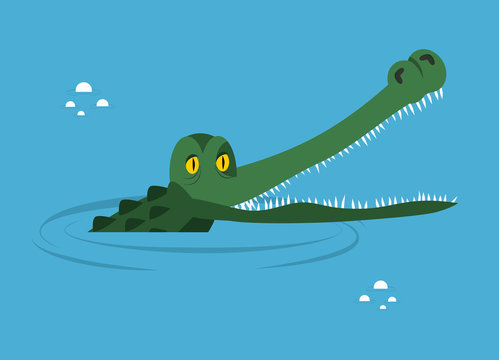 Crocodile in water. large alligator in swamp. Cute caimans head