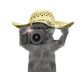 cat tourist is going to take pictures of something