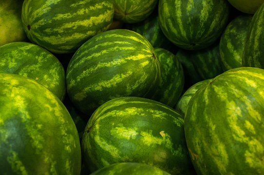 Large Organic Watermelon
