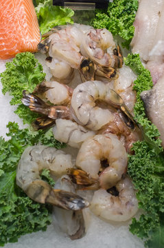 Fresh Raw Shrimp