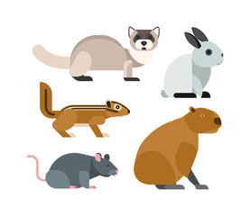 Cute cartoon rodents animals, mouse cartoon in action set, with nine different cartoon rodents standing animals confident. Cartoon rodents mammal nature, mouse character, wildlife rat set.