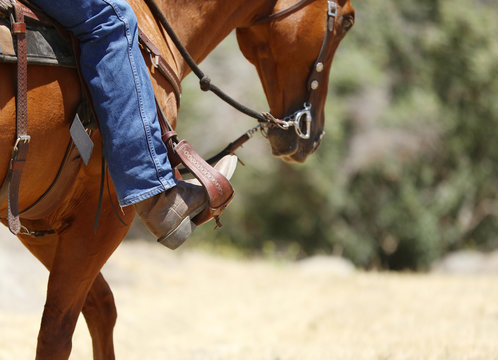 A cowboy boot in a stirrup riding a horse.
