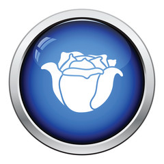 Cabbage icon