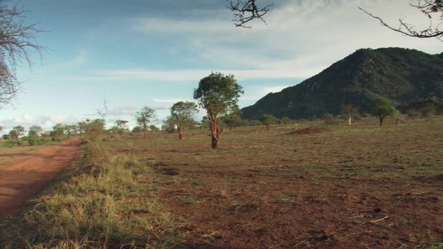 Countryside of Tanzania
