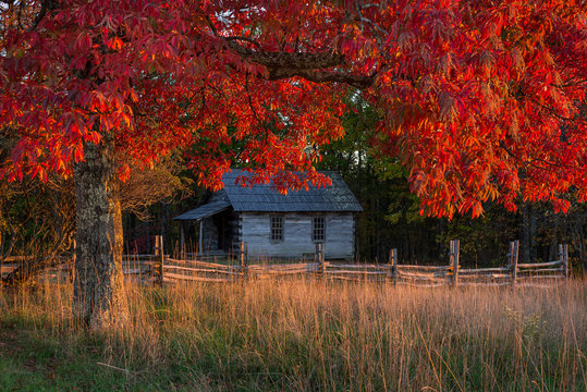 Cumberland Gap National Park, fall colors