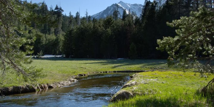 Stream flowing through mountain meadow with snow-capped peak in distance