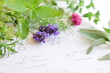 medicinal herbs on science background