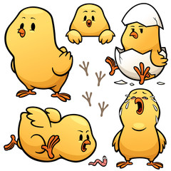 Vector illustration of Cartoon Chick Character Set