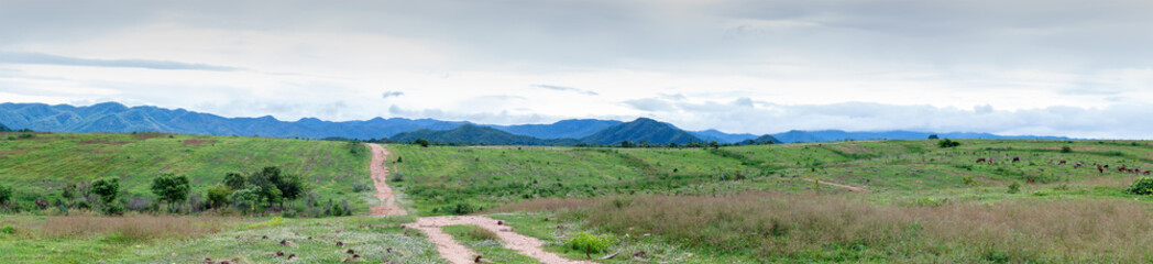 Fototapeta na wymiar Panorama view of green grass on hills and mountains