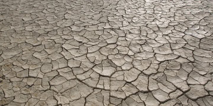 Close-up surface of dry, cracked alkali flat
