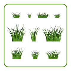Green grass bushes set. Nature plant background. Collection silhouettes isolated on white. Symbol of field, lawn, spring and meadow, fresh, summer. Elements for design environment. Vector illustration