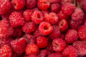 ripe juicy raspberries