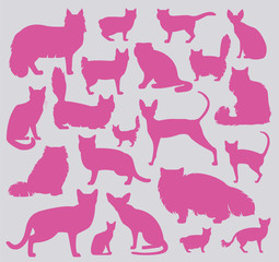 Cat breeds icon set flat style