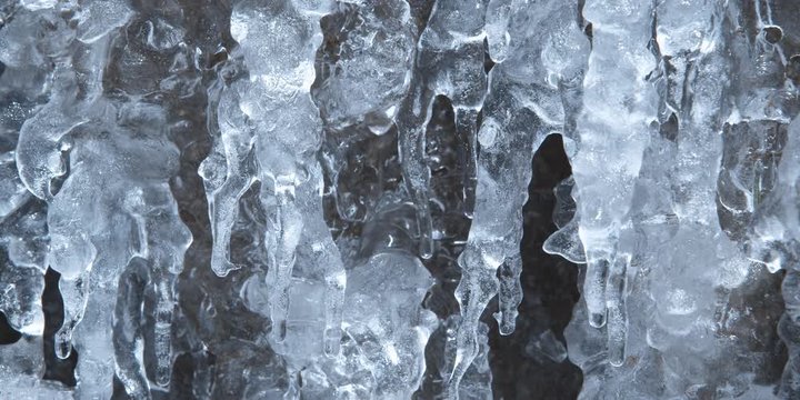 Close-up of melting icicles