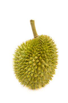 King of fruits. durian isolated on white background. Most popular in thailand and International