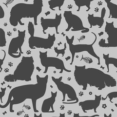 Cat characters and vet care seamless pattern flat style