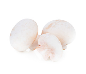Champignon mushrooms on white background