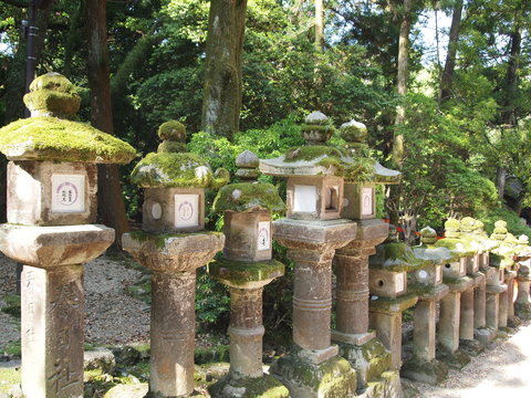 奈良　春日大社の石灯籠