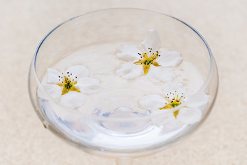 white flowers floating in a glass