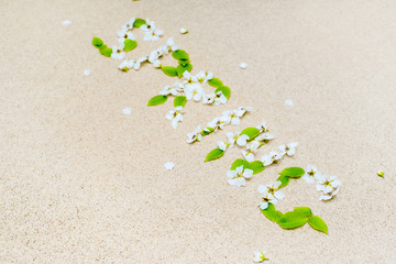 inscription spring flowers