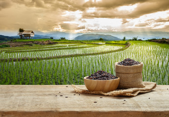 Asian Black Rice or uncooked white rice with the rice field back
