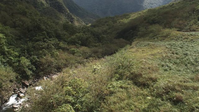 Up a narrow valley on Molokai