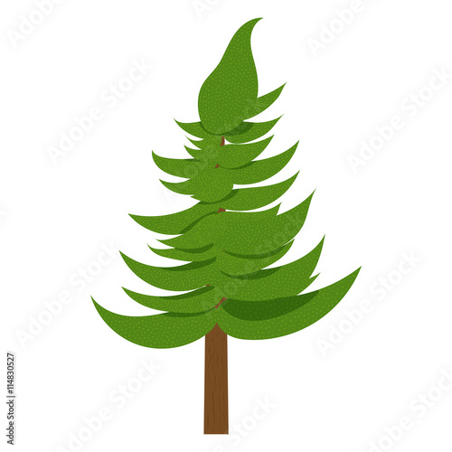 "Spruce icon in cartoon style isolated on white background. Tree symbol