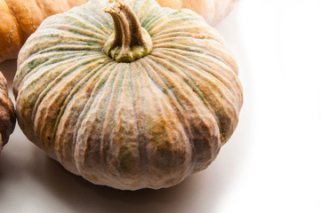 Fresh pumpkin on white background