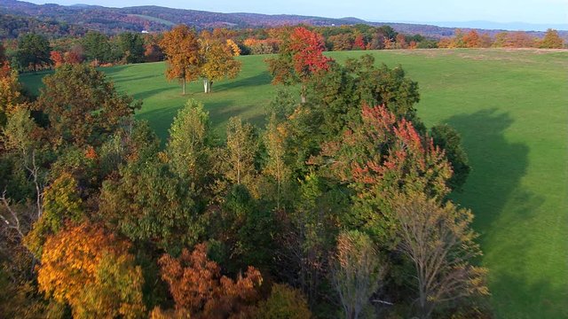 Flight over green hill and autumn trees
