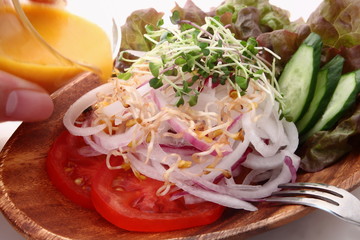 スプラウトとスライスオニオンとトマトのサラダ