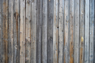 Texture of vertical wood plank