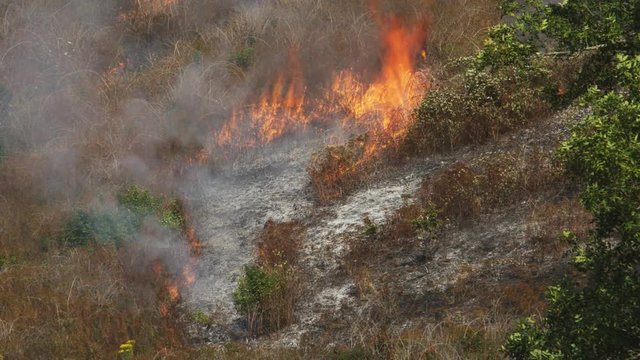 Flames from hot ashes spread through dry grass on a hillside