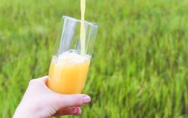 Orange juice is poured into a glass on a background of nature.