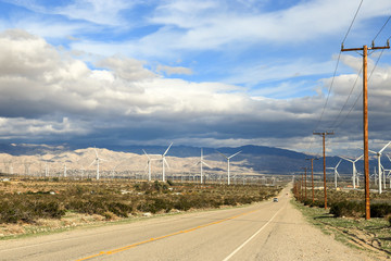 Fototapeta premium field of wind turbines