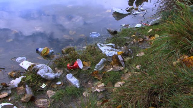 Close view of riverbank littered with trash