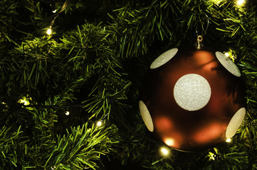 Christmas ball hanging on tree.