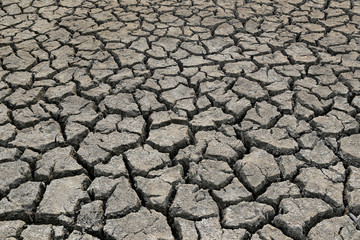 Cracked earth and dry soil texture.