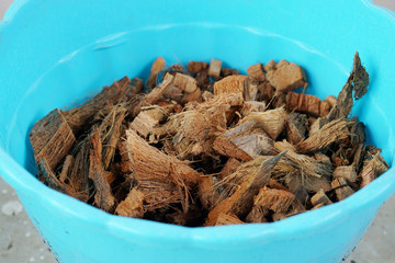 Pieces of coconut coir husk in plastic pot