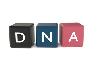 3d illustration of DNA word from colored cubes