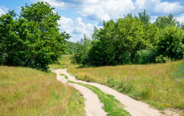 Fototapeta na wymiar Country road in forest and sky