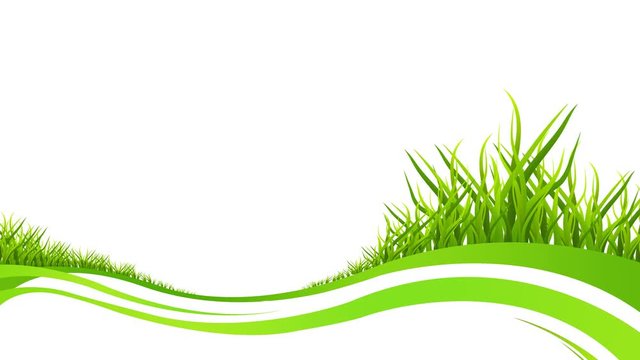 grass and environment motion graphic