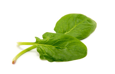 Spinach on a white background