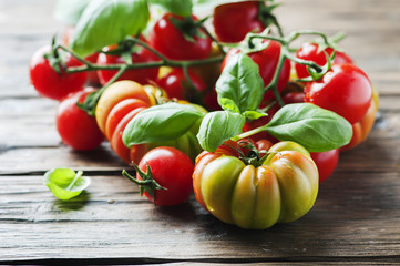 Italian basil and tomato on the wooden table