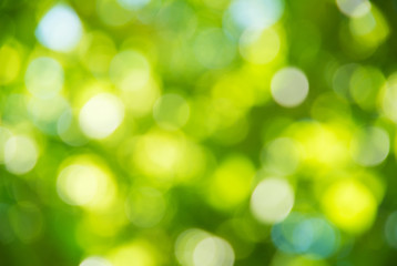 Obraz premium Natural blurred background.