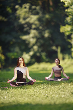 Two girls doing yoga exercises in park. Two young women in sport clothes standing on a green grass and meditate.  