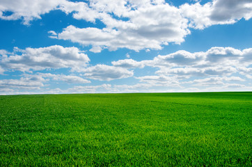 Afbeelding van groen grasveld en helderblauwe lucht