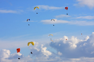 Paragliders